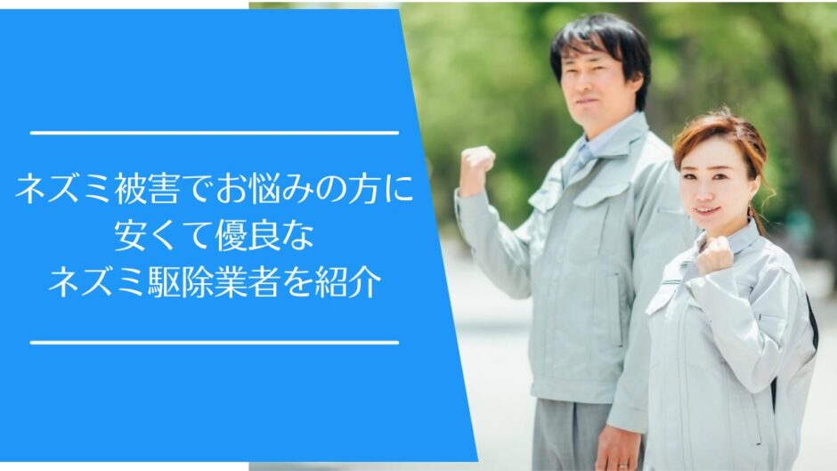 ネズミ駆除業者を紹介